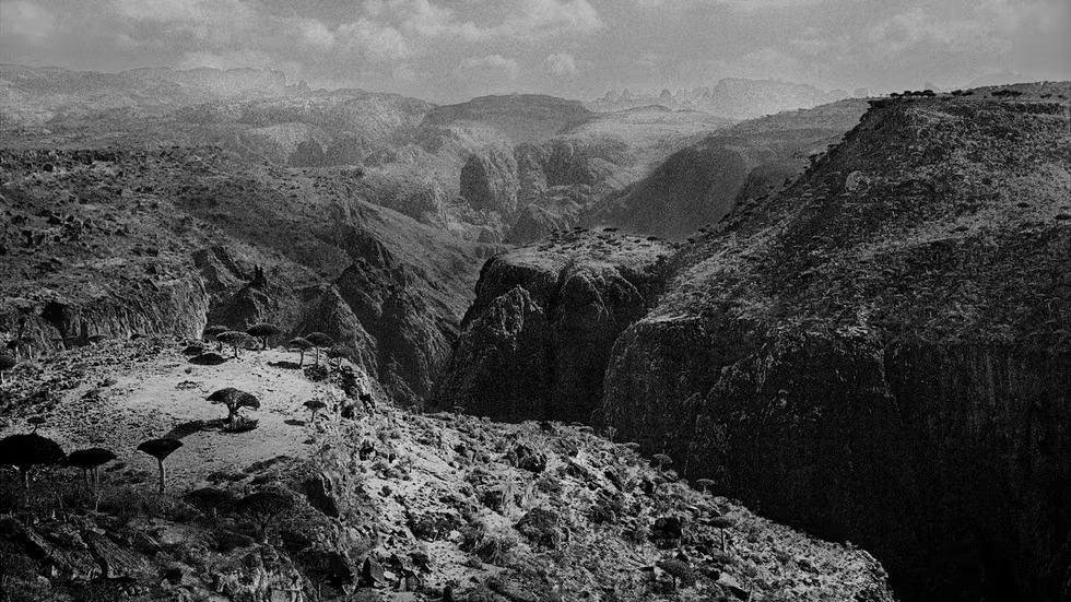Socotra, la isla de los misterios
